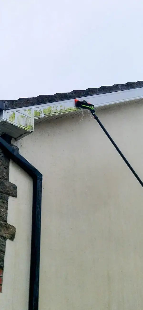 Fascia, soffit and gutter cleaning