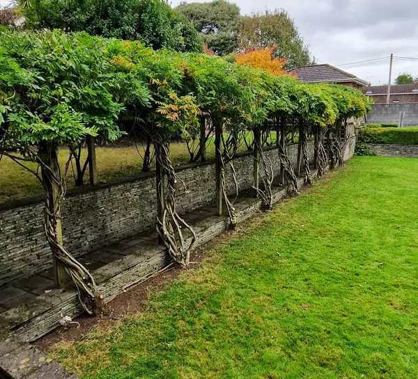 Lawn and garden maintenance
