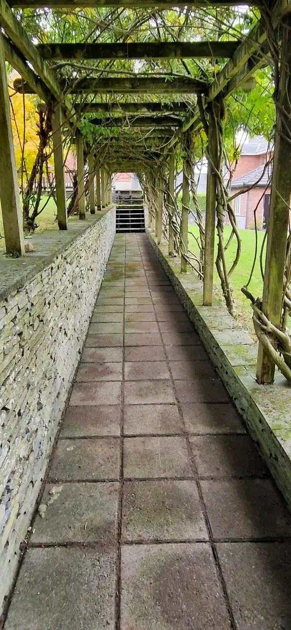 Path and pergola cleaning