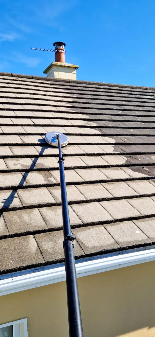 Roof moss removal